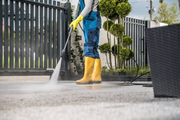 Best Patio and Deck Pressure Washing  in Buckingham, FL