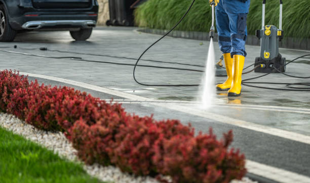 Best Building Exterior Washing  in Buckingham, FL